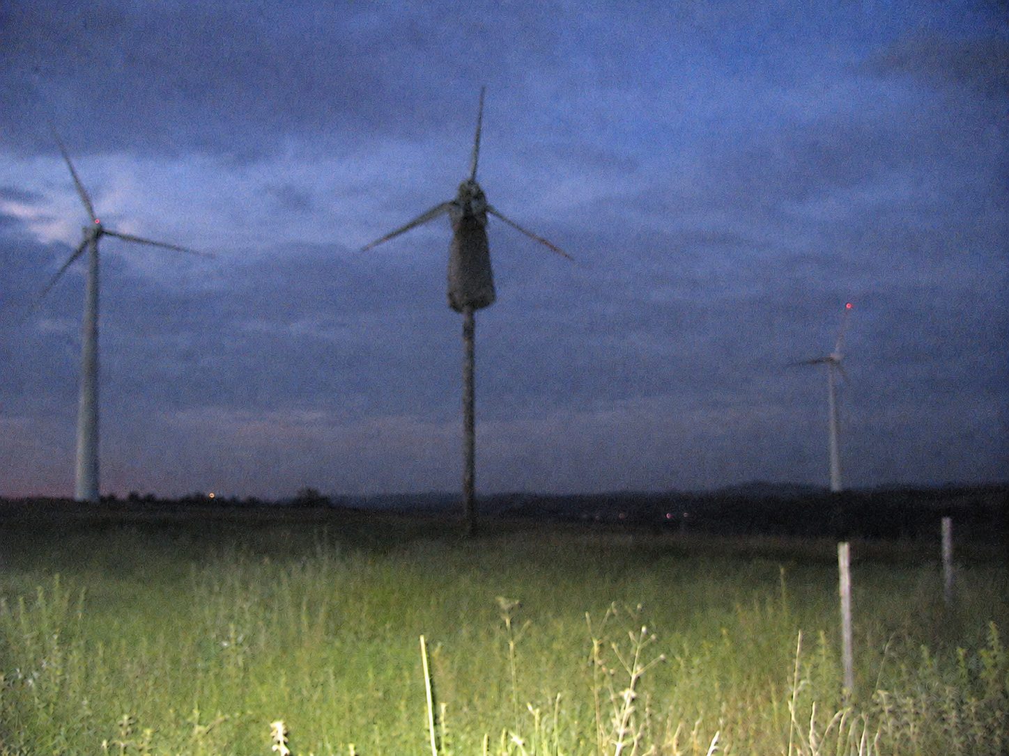 Wind Farm
